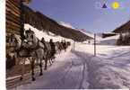 DAVOS  DISCHMA -  Attelages De Traineaux - Davos