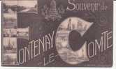 FONTENAY LE COMTE . SOUVENIR - Fontenay Le Comte