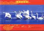 Swan Bird  ,   Pre-stamped Card , Postal Stationery - Cygnes
