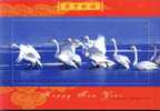 Swan Bird  ,   Pre-stamped Card , Postal Stationery - Cisnes