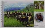 Spotted Deer,macaque Monkey,roe Deer,China 2001 Hebei Province Protect Wildlife Animal Advertising Pre-stamped Card - Singes