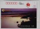 View Of Sunset In Wetland,water Buffalo,CN 07 West-dongting Wetland National Urban Park Advertising Pre-stamped Card - Ferme