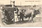 BULLOCK WATER CART -ADEN N°8 - Yémen