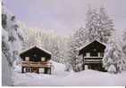 CHATEL -   Les Petits  CHALETS  De  SUPER CHATEL - Châtel