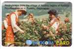 ROSE - PICKERS  ( Bulgaria GPT 54BULG ) *** Rose - Rosa * Flower ( Flowers ) - Fleur ( Fleurs ) - Blume * Flora Flore - Bulgarie