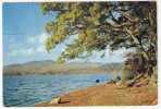 Scotland, Perthshire : The Lake Of Menteith  ; 1968 ;  B/TB - Perthshire