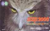 Télécarte Japon - OISEAU HIBOU CHOUETTE - OWL Bird Phonecard - EULE Vogel Japan Telefonkarte - Hiboux & Chouettes