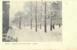 Ixelles - Elsene : Pensionnat De L´Arbre-Bénit - Jardin En L´hiver - De Tuin In De Winter +/- 1910 - Elsene - Ixelles