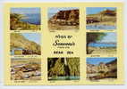 Israel--Souvenir From Dead Sea,vues Diverses ,cm N° 7363  Palphot - Israele