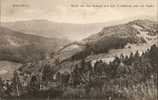 68 - Markirch - Blick Von Der Grenze Auf Den Zuckerhut Und Die Stadt - (Sainte-Marie-aux-Mines - Pain De Sucre) - Sainte-Marie-aux-Mines