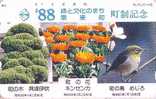 TC Japon Oiseau Fauvette & CACTUS / 330-19786  - Japan Warbler Bird Phonecard - Vogel & KAKTUS - Zangvogels