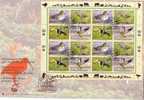 FDC Nations Unies ONU Oiseaux 16 Timbres - Canard Toucan Oie Ibis - Bird Birds UNO Cover - Vögel - Anatre