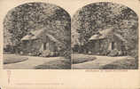 CPA Stéréo Allemande - VERSAILLES - Stereoscope Cards