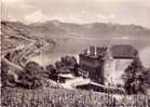 Suisse - Chateau De Glérolles - Le Vignoble Et Le Lac Léman. - Au