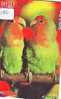 Bird PERROQUET Parrot PAPAGEI Papagaai Oiseau Carte (190) - Loros