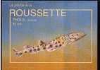 Jolie CP Poisson La Roussette Thouil En Breton - Avec Conseils De Pêche Au Dos Appât Hameçon Pêcheur - Pescados Y Crustáceos