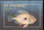 Jolie CP Poisson Le Saint Pierre Iar Vor En Breton - Avec Conseils De Pêche Au Dos Pêcheur - Pescados Y Crustáceos