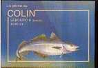 Jolie CP Poisson Le Colin Lebourc'h En Breton - Avec Conseils De Pêche Pêcheur Appât Nylon Hameçon - Poissons Et Crustacés