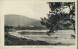 Cavalaire Var 83. La Plage Et Ses Pins Maritimes. 4 Bâteaux. - Cavalaire-sur-Mer