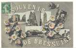 79 )) BRESSUIRE, Souvenir, Multivues, - Bressuire