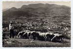 I2 - SAINT-GIRONS - Vue Générale - Thèmes : Berger Moutons (1957 - Joli Cliché Semi-moderne GRAND FORMAT) - Saint Girons