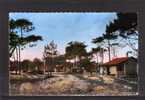 33 CARCANS PLAGE Villas Dans La Foret, Ed CIM 57, CPSM 57, 195? - Carcans