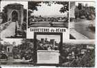 64 - SAUVETERRE DE BEARN - Souvenir - Semi-Moderne - Gd Format - Sauveterre De Bearn