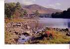 INVERNESS SHIRE  -  Loch An Eilean  - Aviemore - Inverness-shire