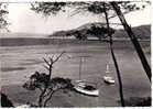 Carte Postale 83. Ile De Porquerolles  Les Bateaux à L'Ancre Trés  Beau Plan - Porquerolles