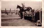 Soldat De Cavalerie - - Horse Show