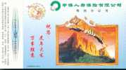 Tiger  ,   Pre-stamped Card , Postal Stationery - Rhinozerosse
