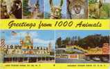 Etats-Unis - See 1000 Animals - Sterling Alaska Fur & Game Farms, Inc. - Sonstige & Ohne Zuordnung