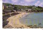 TREBOUL - DOUARNENEZ -   La Plage Des Sables Blancs Et Ses Hôtels - N° 20460 - Tréboul