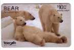 POLAR BEAR - URSUS MARITIMUS (New Zealand) Ours Grizzly Bär Oso Orso Beer Bears Arctic Polar Polaire Artico Arctisch - New Zealand