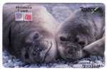 SEAL ...  PHILATELIA T'card - Koeln , Germany 1993. ( Code ADCB ) - New Zealand Rare Card * Phoque Seehund Foca Zeehond - Neuseeland