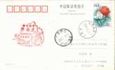 Huanan Tiger   Postmark  ,  Pre-stamped Card , Postal Stationery - Rhinozerosse