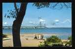 Mackinac Bridge As Seen From Shores Of Lake Michigan, Mackinaw City, Michigan - Autres & Non Classés