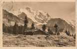 CH - BE - Wengen - Die Jungfrau (4167m) - (gelaufen / Circulée 1917) - Berghütte / Chalet - Wengen