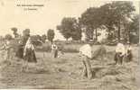 CP Agriculture LA VIE AUX CHAMPS La Fenaison (rateaux,agriculteurs,ferme) - Culturas