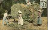 CP Agriculture   AU FOIN ( La Fenaison) (rateaux,agriculteurs,attelage De Cheval) - Cultures