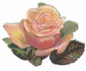 DECOUPI ROSE 10 X 7,5 Cm - DIE-CUT - Flores