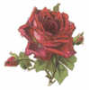 DECOUPI ROSE 6 X 6,5 Cm - DIE-CUT - Blumen