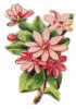 DECOUPI BOUQUET DE FLEURS 6 X 4 Cm - DIE-CUT - Fiori