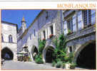 Carte Postale  47.  Monflanquin   Trés Beau Plan - Monflanquin