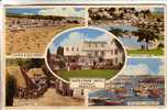 OLD GREAT BRITAIN POSTCARD - Paignton Views - Paignton