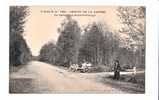 CPA---72----Vibraye --FORET De Vibraye---COURSE----CIRCUIT DE LA SARTHE---VOITURE---1906 - Vibraye