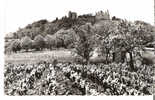 SANCERRE Le Chateau Vue Générale - Sancerre