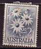 PGL - AUSTRALIA Yv N°257 - Used Stamps