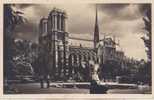 PARIS 02 - Notre-Dame, Vue Du Square R. Viviani - Paris (02)