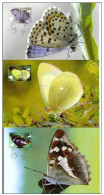 Fauna Beetles Butterflies Finland Suomi 2007 Max Card Cards Post X 3 - Cartes-maximum (CM)